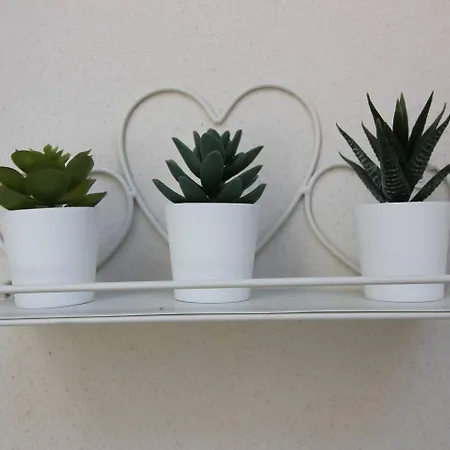 Fuoco Maggiore, D'orta, Isole Borromee Colazza