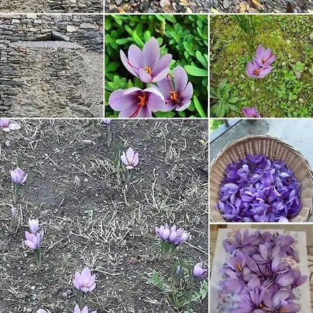 Apartman Tra Maggiore E D'orta Fuoco *