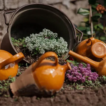 Tra Maggiore E D'orta Fuoco Appartamento