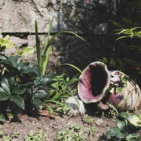 Tra Maggiore E D'orta Fuoco