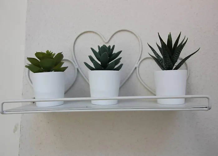 Tra Maggiore E D'orta Fuoco Colazza