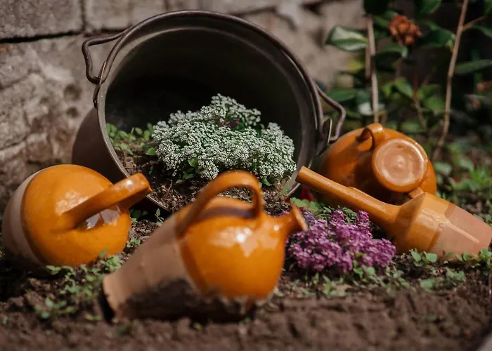 Fuoco Maggiore, D'orta, Isole Borromee Apartamento