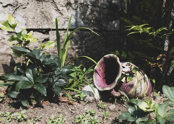 Tra Maggiore E D'orta Fuoco